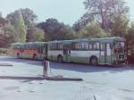 Wagen 57 bis Wagen 62, Das Jahr 1983 war fr mich ein besonderes Jahr, denn zum ersten Mal fieberte ich der Zuschleusung neuer Busse entgegen.
