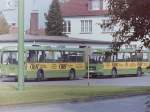 MAN SL 200/153329/die-oebs-busse-auf-keiner-aufnahme-werden Die BS-Busse. Auf keiner Aufnahme werden die teilweise erheblichen Unterschiede so deutlich wie auf dieser. Sie zeigt Wagen 33 und Wagen 45 im Oktober 1985. Beide Busse stehen bereit um in den Sonderfahrplan zum Kramermarkt zu starten. Auf keinem anderen Bus war aber auch die Beschriftung so dermaen 'verrckt' worden, wie auf Wagen 33. Auerdem ist er der einzige Bus auf dem der Slogan 'Wir geben ihrer Zukunft ein zuhause' steht, der spter zur LBS-Werbung gehrte, statt 'Mit der BS den Grundstein legen'. Ganz nebenbei fllt hier natrlich auch der hellgrne Khlergrill ins Auge, den Wagen 33 als einziger BS-Bus trug. 