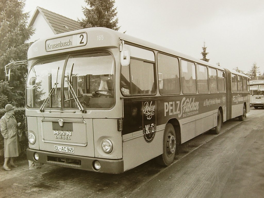 Wagen 165, OL-AC 945, EZ: 1972. Im Jahr 1972 wurden durch Pekol  lediglich  Gelenkbusse angeschafft. Insgesamt 5 Busse vom Typ SG 192 waren schlielich im Einsatz : Wagen 168 bis 164. Ein weiterer Gelenkbus, Wagen 169 der noch 1971 mit der Typenbezeichnung 890 SG angeschafft wurde, war Ersatz fr den 1970 nach einem Unfall mit Totalschaden ausgesondertem Wagen 172. Dabei handelte es sich um einen von 5 Henschel HS 160. Die Gelenkbusse waren ausschlielich auf der Linie 2 im Einsatz, die von Krusenbusch im Sden, zur Leuchtenburger Strae im Norden fhrte. Da mir von den Wagen 169 bis 166 keine Bilder zur Verfgung stehen, will ich stellvertretend auf die Wagen 165 und 164 nher eingehen. 1972 nderte MAN die Typenbezeichnung von 890 SG in SG 192. Die Busse waren vom Grundsatz her Weiterentwicklungen des auf dem  Metrobus  basierenden Gelenkbus MAN 890 UG-M16(A). Sie waren mit Unterflurmotoren ausgestattet, die zwischen den beiden vorderen Achsen angeordnet waren. Dadurch erhhte sich der Boden des Busses im Vergleich zum Solowagen, dem SL 192, um einige Zentimeter. Die SG 192 verfgten daher im Eingangsbereich ber hhere Stufen. Dieses Bild von Wagen 165 entstand am 05.10.81 an der Endstation LEUCHTENBURGER STRASSE.