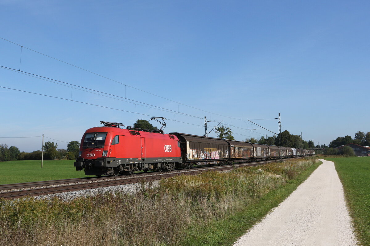 1116 051 auf dem Weg nach M�nchen am 11. Oktober 2021 bei �bersee am Chiemsee.