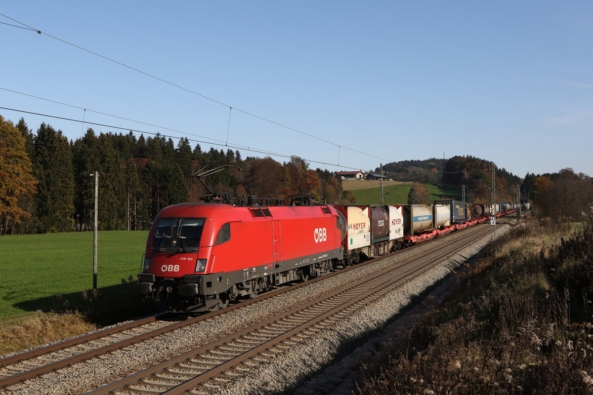1116 163 mit einem  KLV  aus Salzburg kommend am 9. November 2020 bei Grabenst�tt im Chiemgau.