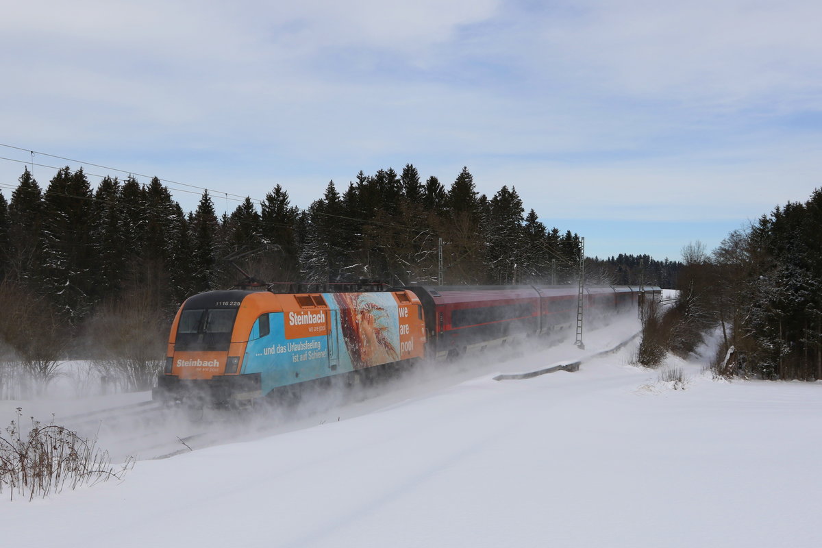 1116 229  Steinbach  schob am 27. Januar 2021 einen Railjet bei Grabenst�tt im Chiemgau in Richtung Salzburg.