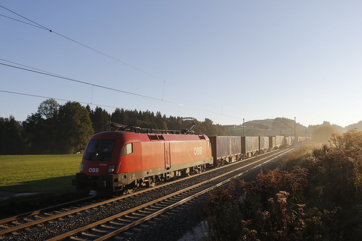 1116 252 mit einem Containerzug am morgen des 10. Oktober 2018 bei Grabenst�tt.