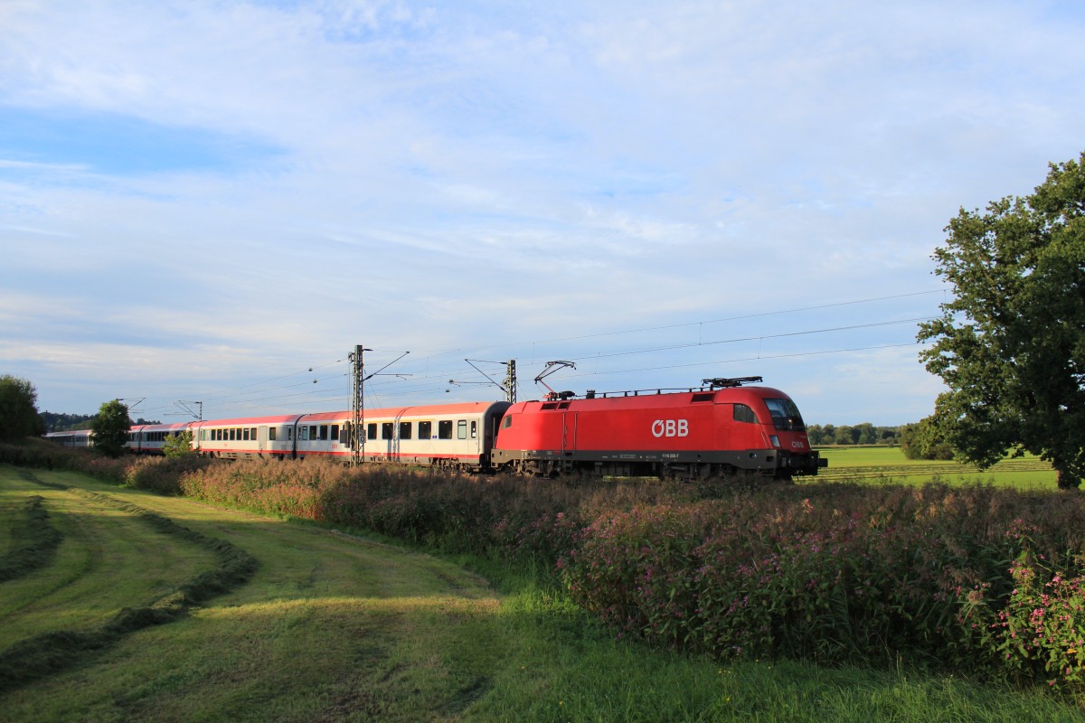 1116 256-7 am 28. August 2012 bei Weisham.