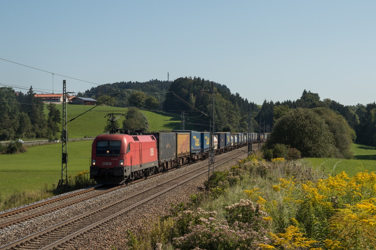 1116 281 am 12. September 2015 bei Grabenst�tt.