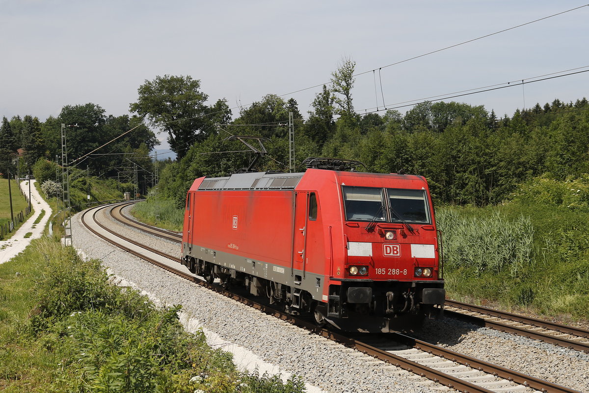 185 288 war am 8. Juni 2018 bei Grabenst�tt in Richtung Freilassing unterwegs.