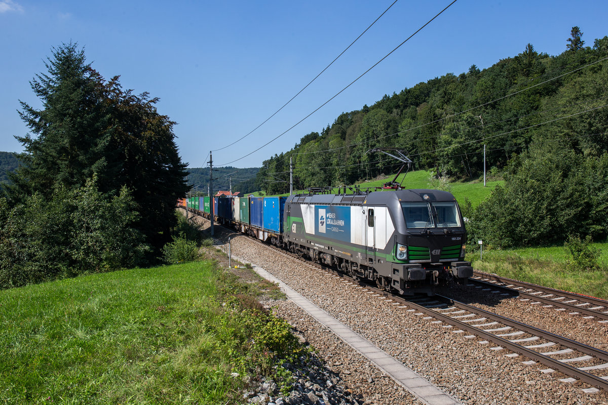 193 224 mit einem Containerzug am 23. August 2017 bei Wernstein.