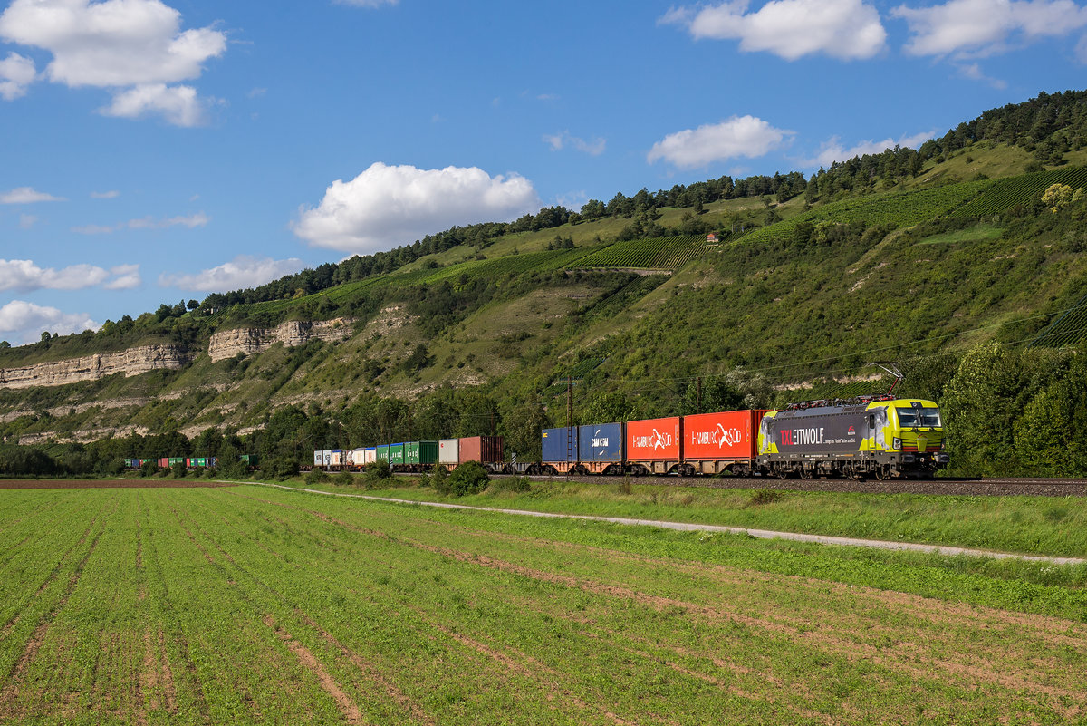 193 554  Leitwolf  war am 19. August 2017 mit einem Containerzug bei Th�ngersheim in Richtung W�rzburg unterwegs.