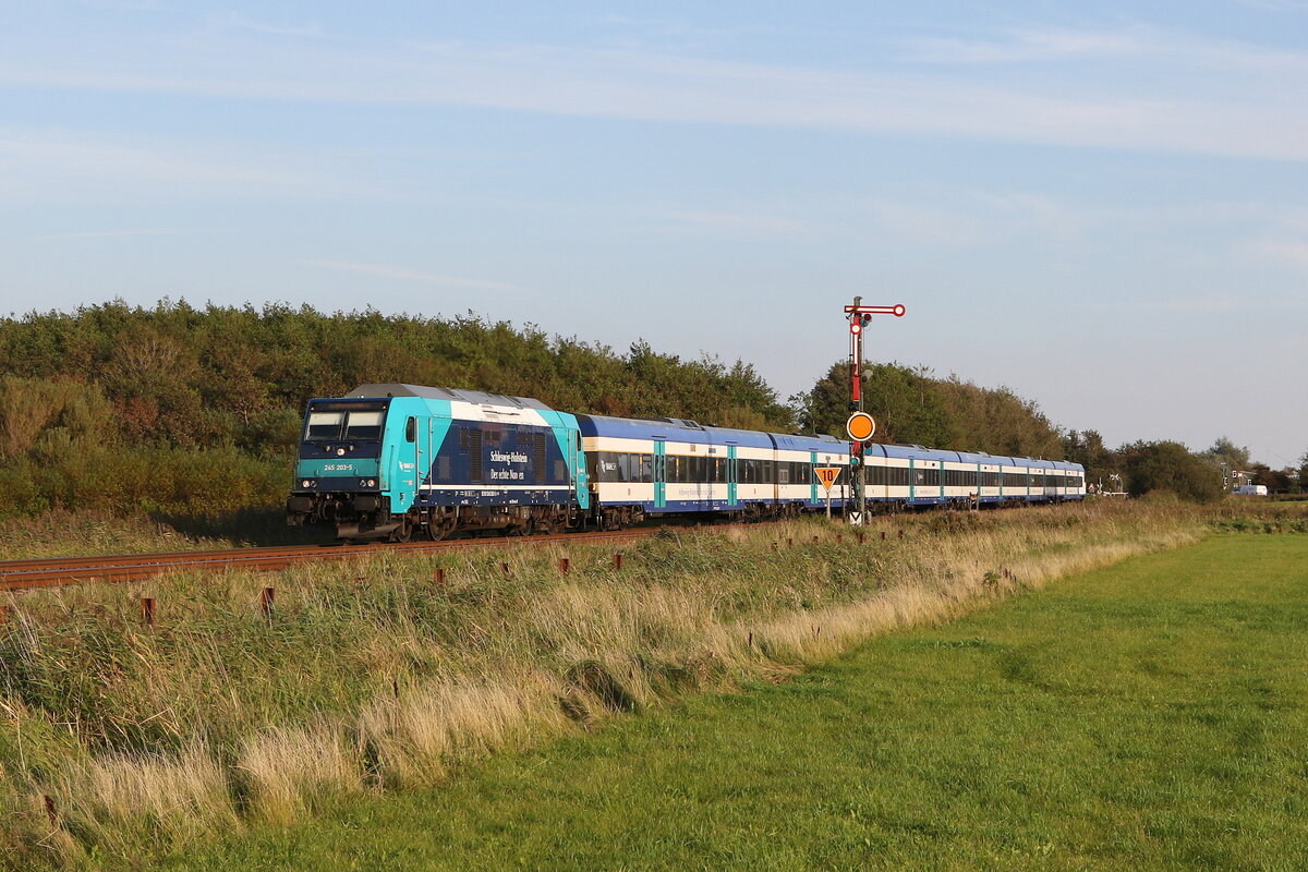 245 203 auf dem Weg nach Westerland. Aufgenommen am 15. September 2023 bei Klanxb�ll.