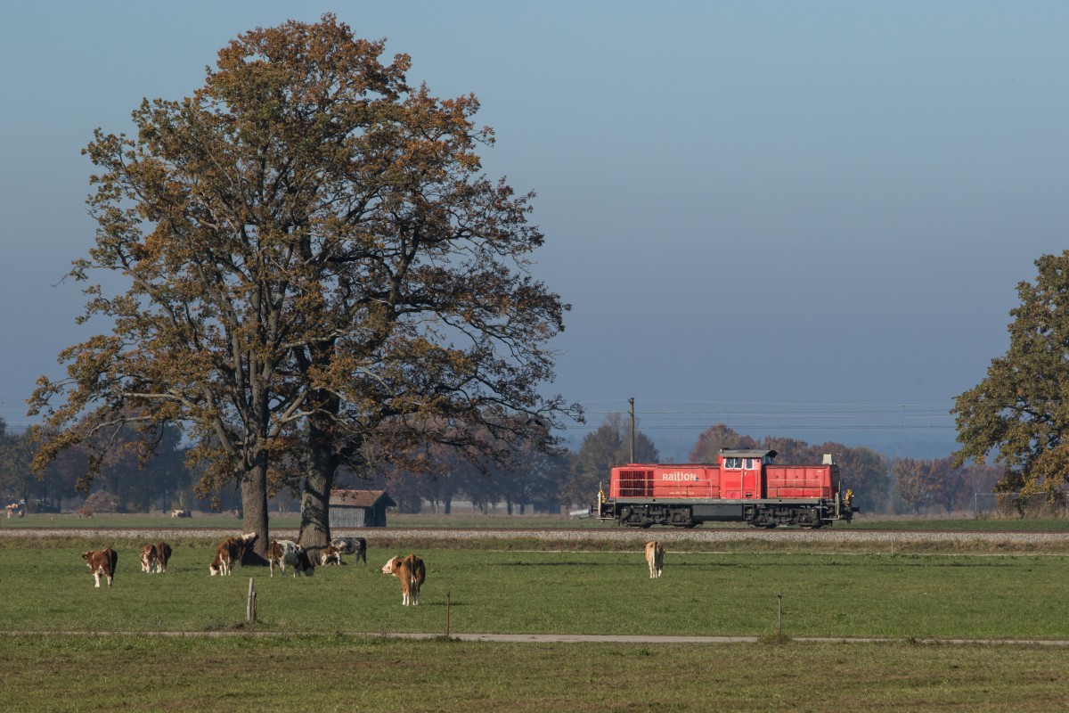 294 769-7 aus Freilassing kommend am 31. Oktober 2015 bei �bersee.