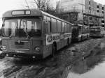 Wagen 54, OL-NC 554, EZ: 1981, FIN WMA19239393935. Als die Wagen 51 bis 56 am 25.09.1981 aus Salzgitter kommend, den Betriebshof erreichten, war Wagen 54 bereits vorgrundiert. Das Werbeband war allerdings geteilt : Oben blau und unten wei. Im Dezember 1981 war der Bus dann vollstndig fr das Bauunternehmen WeBau beschriftet. Der Bus steht hier zwischen Wagen 125 und 124 im Bundesbahnweg.